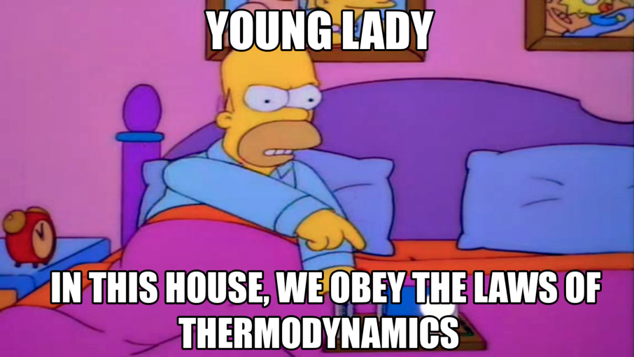 Homer meme