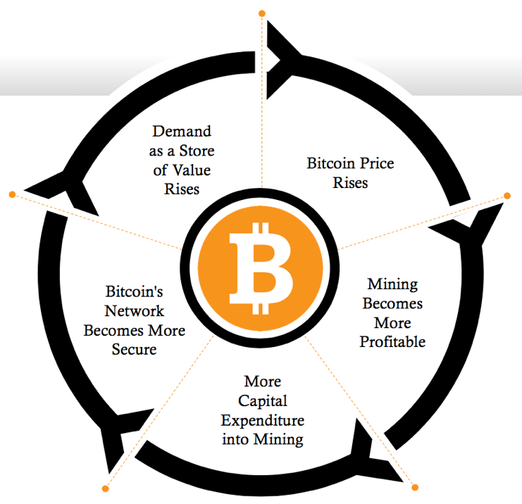 Bitcoin positive feedback loop