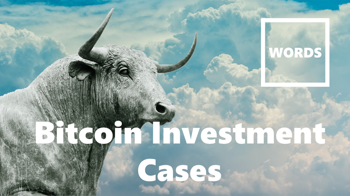 Bitcoin Investment Cases